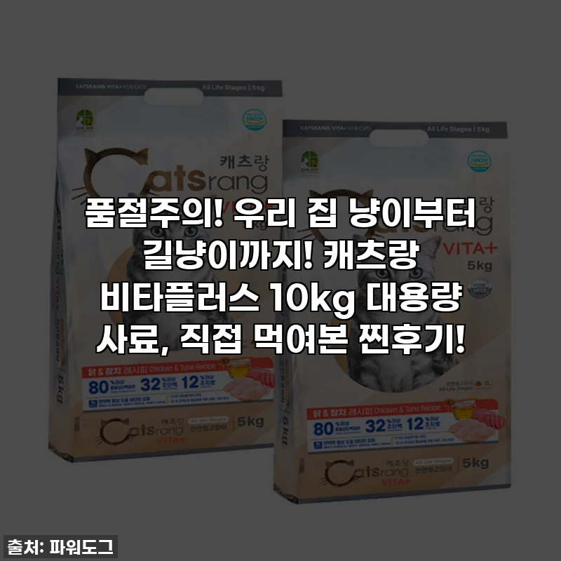 품절주의! 우리 집 냥이부터 길냥이까지! 캐츠랑 비타플러스 10kg 대용량 사료, 직접 먹여본 찐후기!
