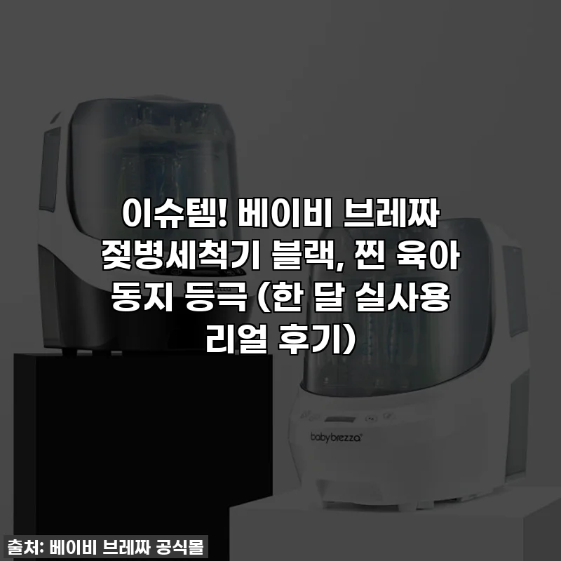 이슈템! 베이비 브레짜 젖병세척기 블랙, 찐 육아 동지 등극 (한 달 실사용 리얼 후기)