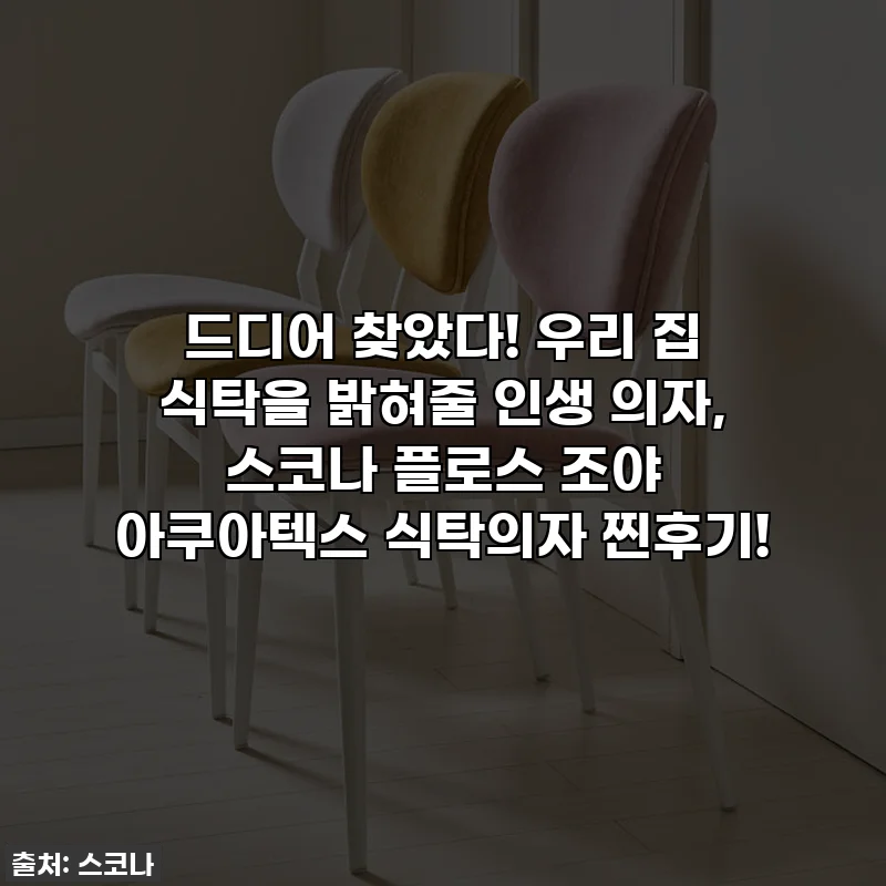 드디어 찾았다! 우리 집 식탁을 밝혀줄 인생 의자, 스코나 플로스 조야 아쿠아텍스 식탁의자 찐후기!