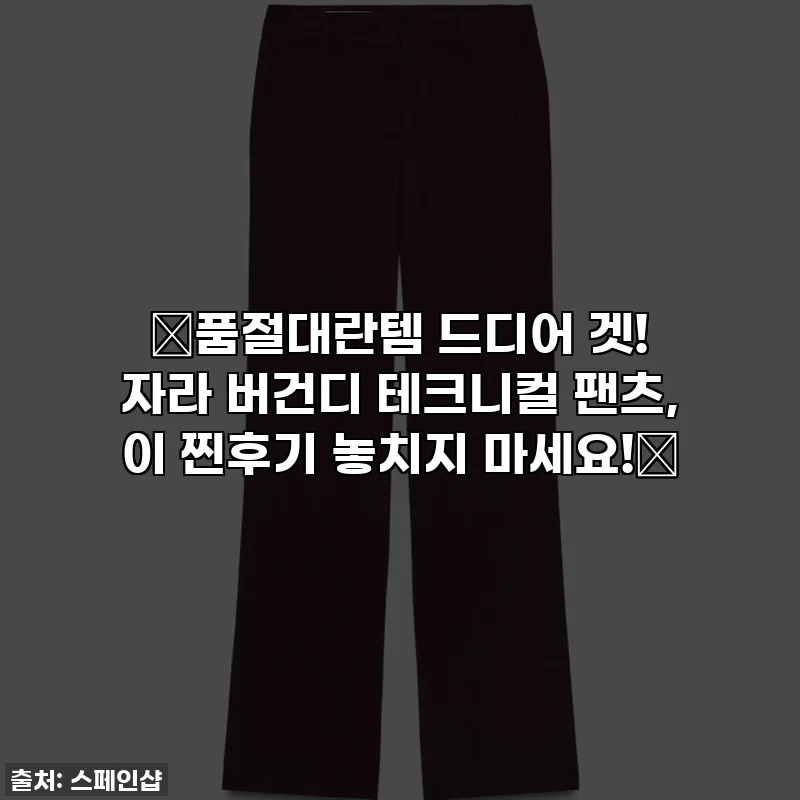 ⭐품절대란템 드디어 겟! 자라 버건디 테크니컬 팬츠, 이 찐후기 놓치지 마세요!⭐