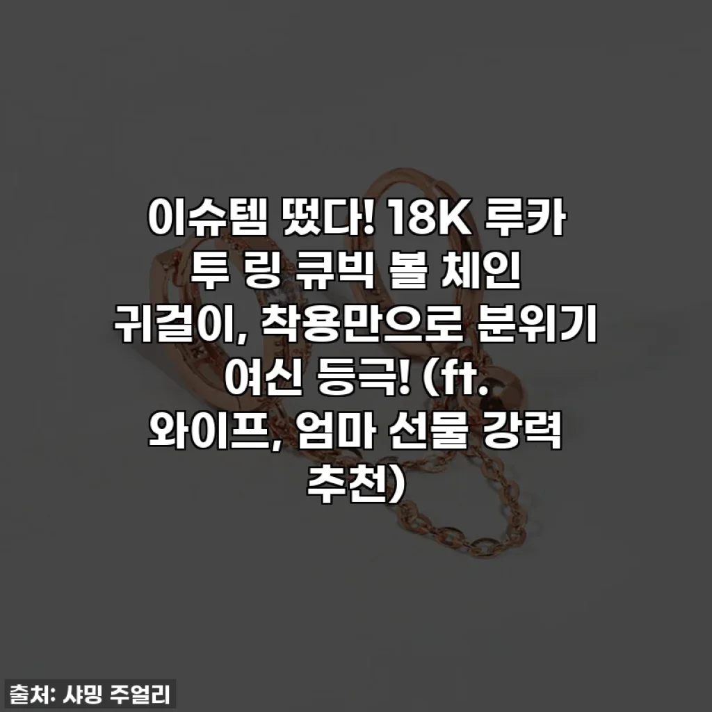 이슈템 떴다! 18K 루카 투 링 큐빅 볼 체인 귀걸이, 착용만으로 분위기 여신 등극! (ft. 와이프, 엄마 선물 강력 추천)