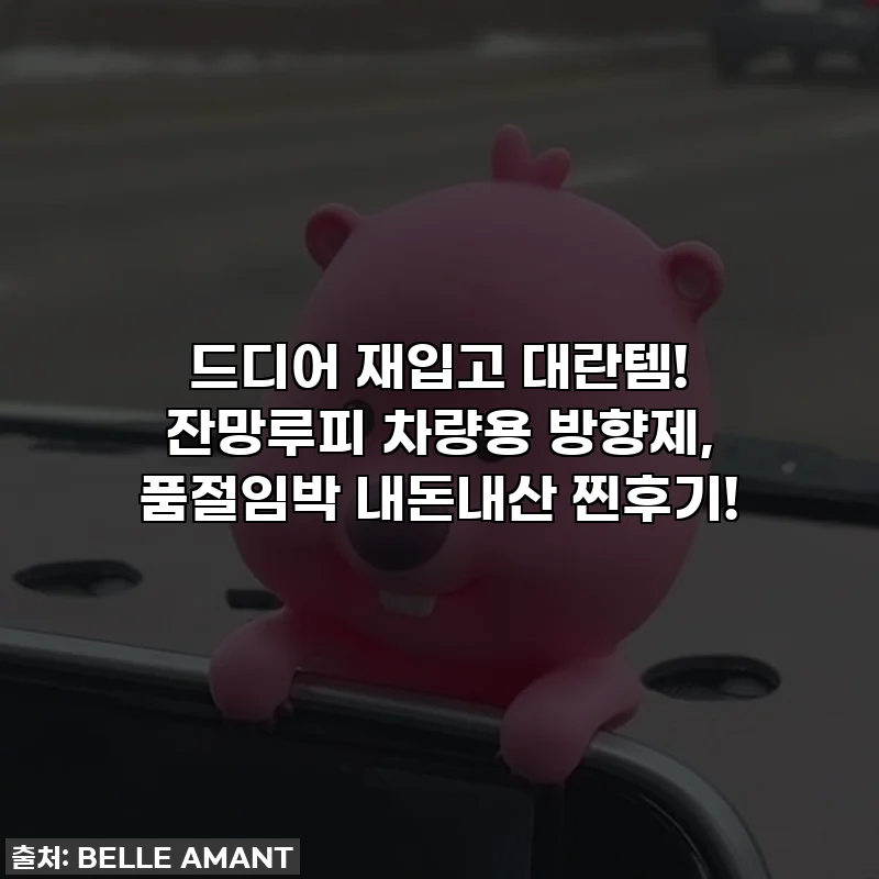 드디어 재입고 대란템! 잔망루피 차량용 방향제, 품절임박 내돈내산 찐후기!