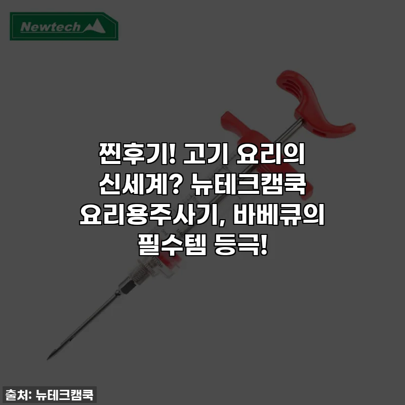 찐후기! 고기 요리의 신세계? 뉴테크캠쿡 요리용주사기, 바베큐의 필수템 등극!