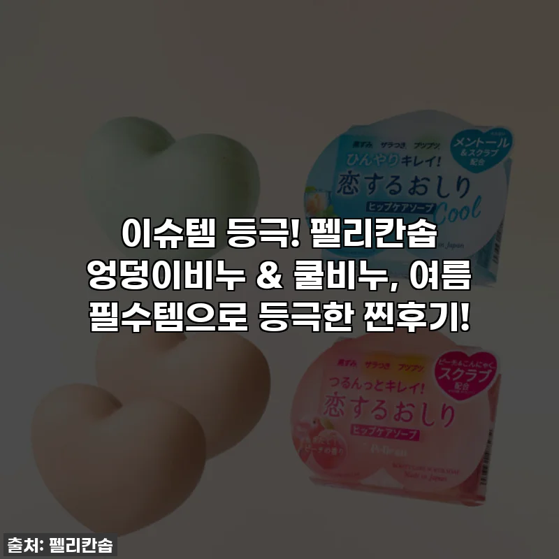 이슈템 등극! 펠리칸솝 엉덩이비누 & 쿨비누, 여름 필수템으로 등극한 찐후기!