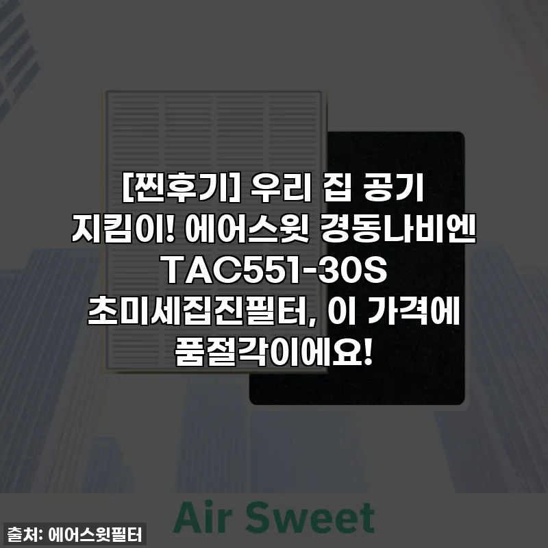 [찐후기] 우리 집 공기 지킴이! 에어스윗 경동나비엔 TAC551-30S 초미세집진필터, 이 가격에 품절각이에요!