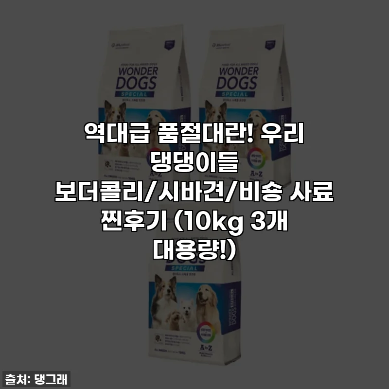 역대급 품절대란! 우리 댕댕이들 보더콜리/시바견/비숑 사료 찐후기 (10kg 3개 대용량!)