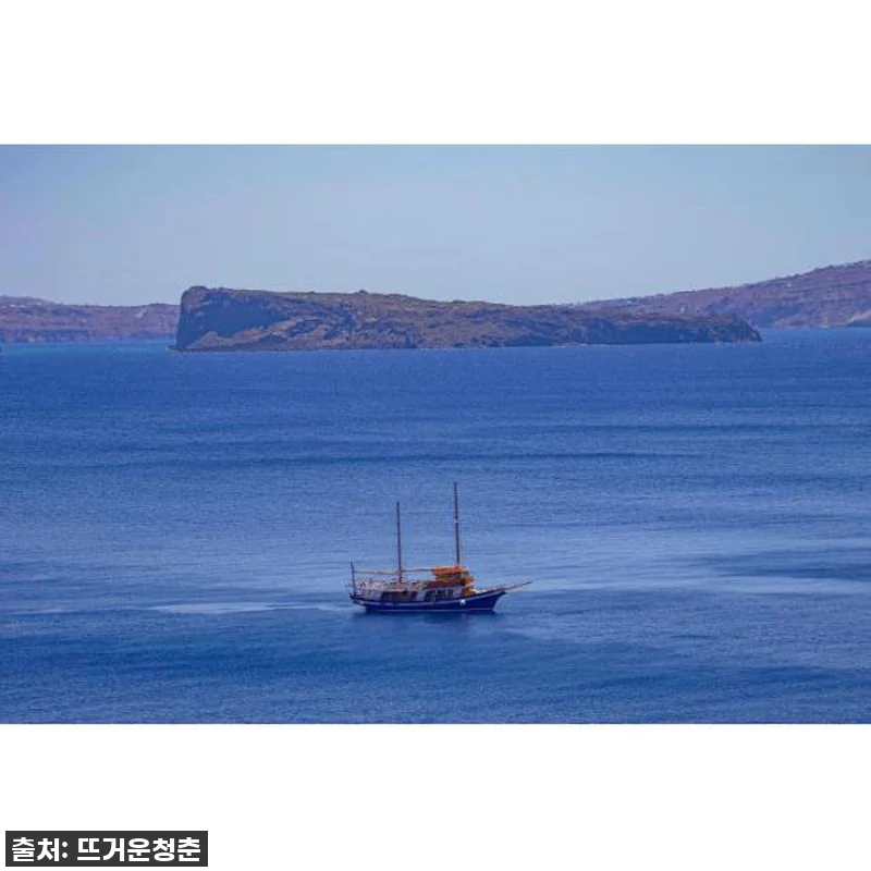 이건 무조건 사야해! 품절임박! 산토 관련 이미지 1