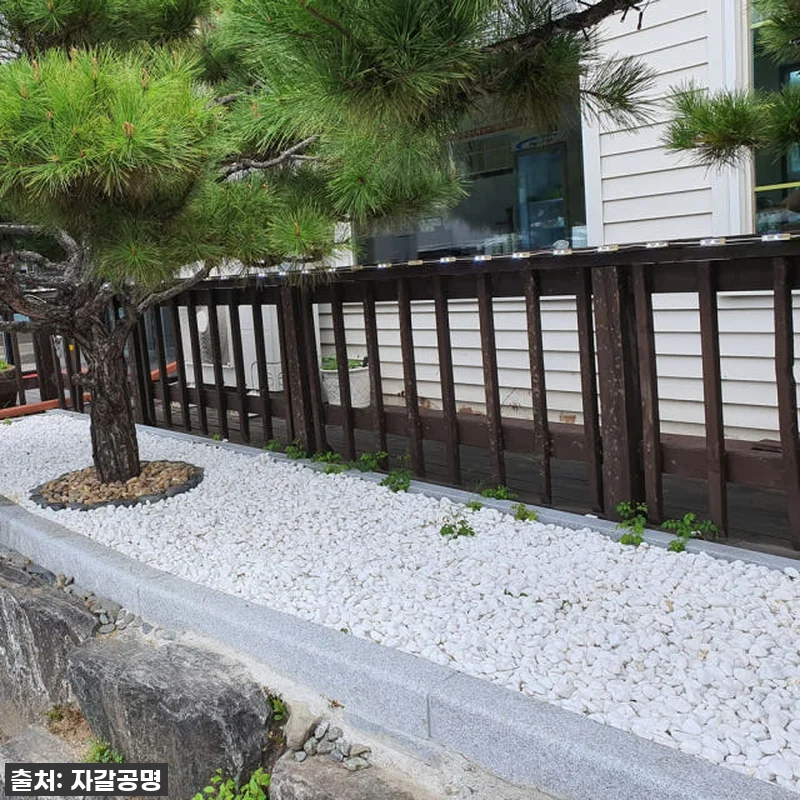 집 분위기 확 살리는 마법! ✨ 품절 관련 이미지 1