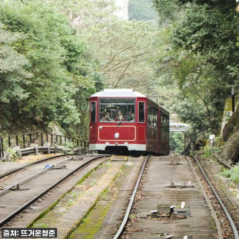 홍콩 여행 필수템! 품절임박! 옥토퍼 관련 이미지 2