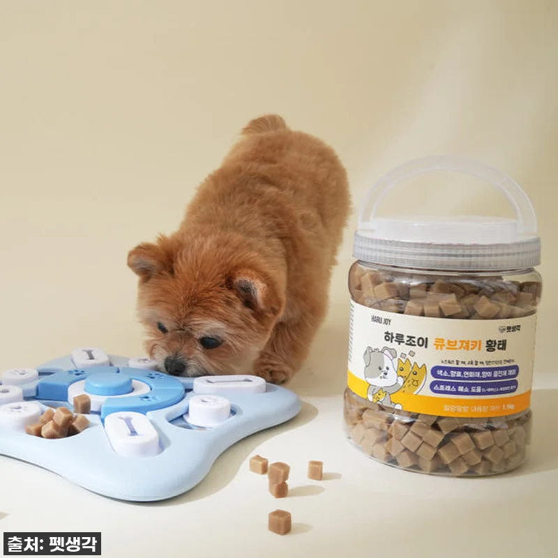 펫생각 큐브져키 황태! 우리 강아지 관련 이미지 2