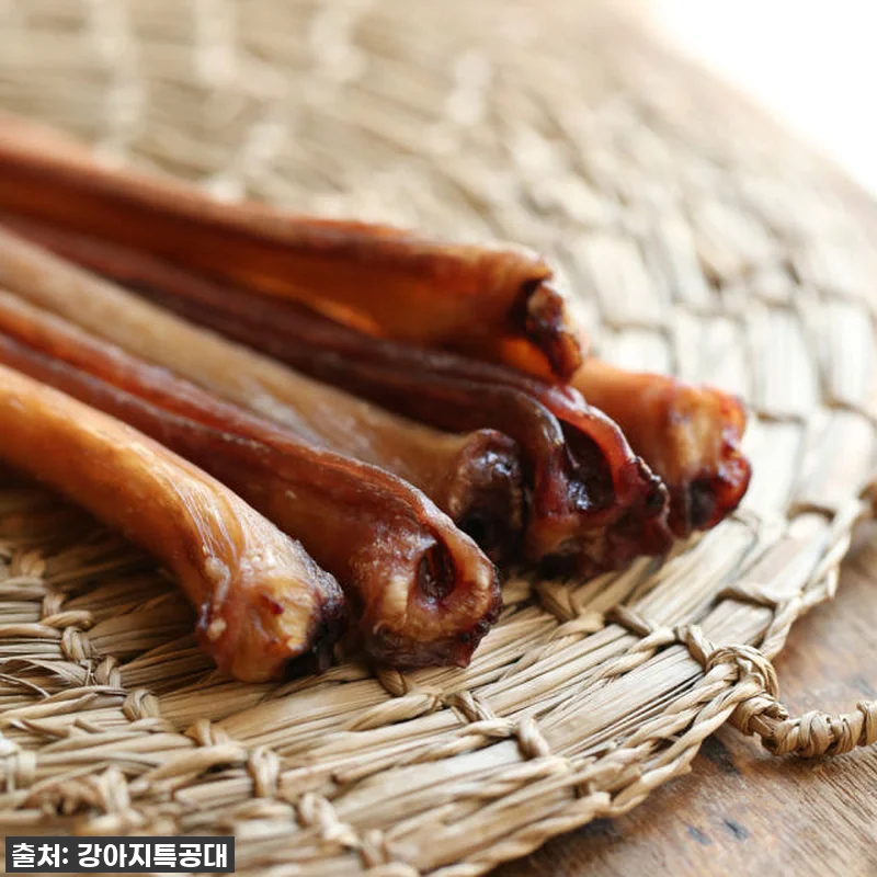 우리 댕댕이 최애 간식 등극! 강아지 관련 이미지 4