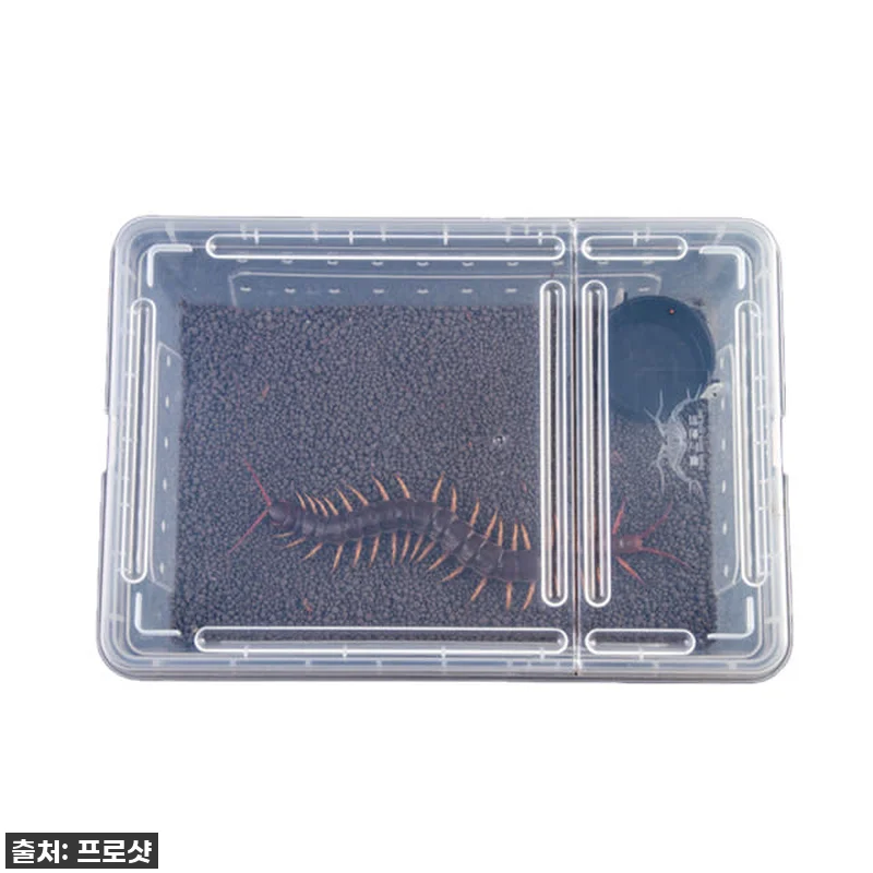 도마뱀 사육장 고급형 적재형 케이지( 관련 이미지 4