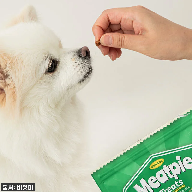 우리 강아지 훈련이 즐거워졌어요! 찐 관련 이미지 4