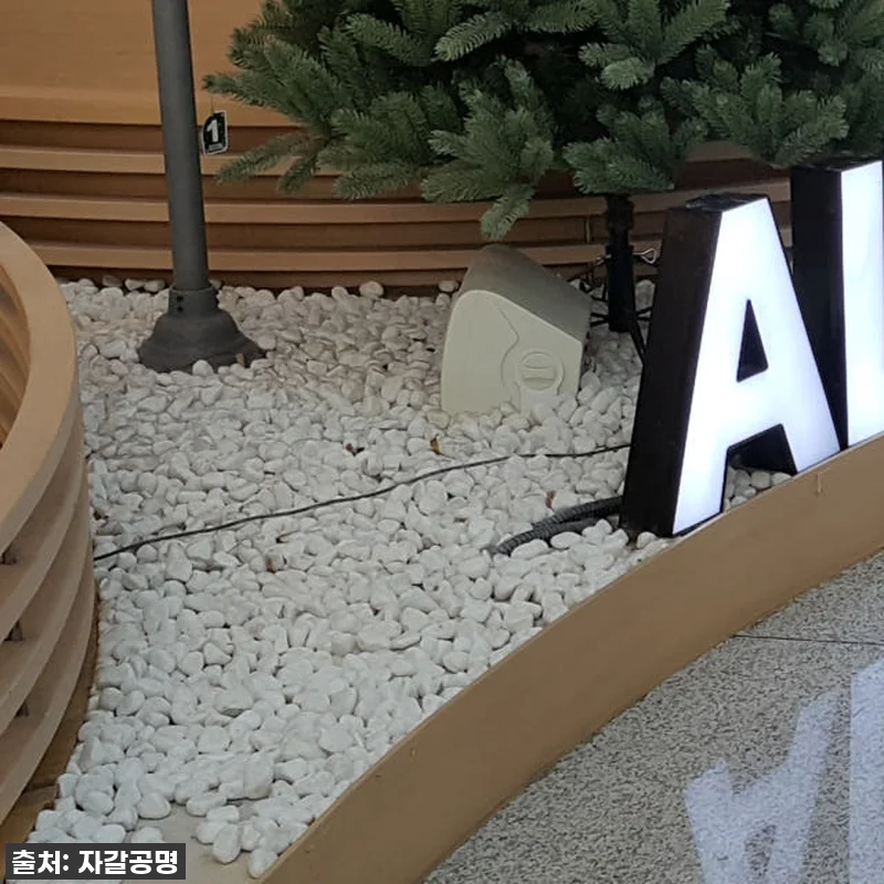 집 분위기 확 살리는 마법! ✨ 품절 관련 이미지 5