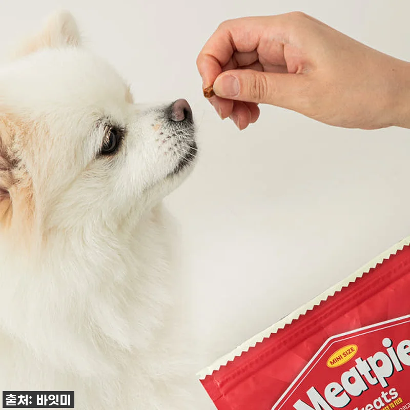 우리 강아지 훈련이 즐거워졌어요! 찐 관련 이미지 5