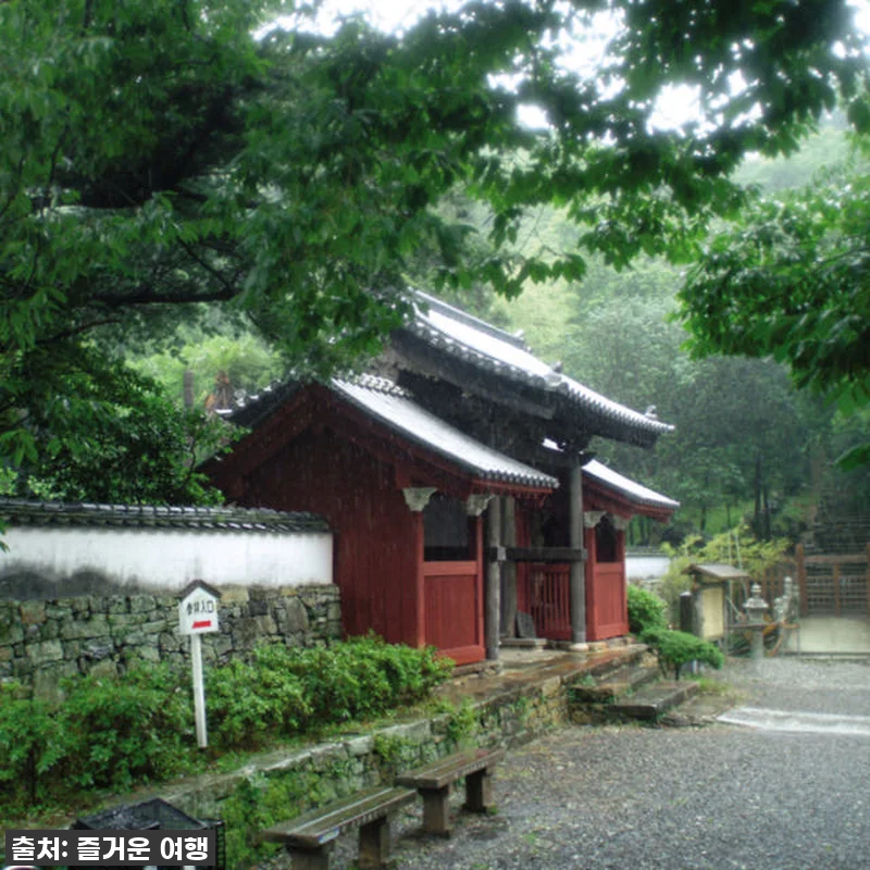 대마도 배편 왕복승선권 이 가격 실화 관련 이미지 7