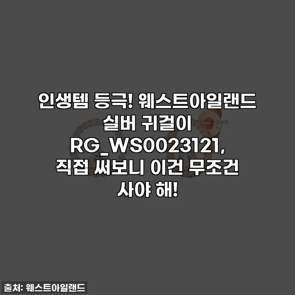 인생템 등극! 웨스트아일랜드 실버 귀걸이 RG_WS0023121, 직접 써보니 이건 무조건 사야 해!
