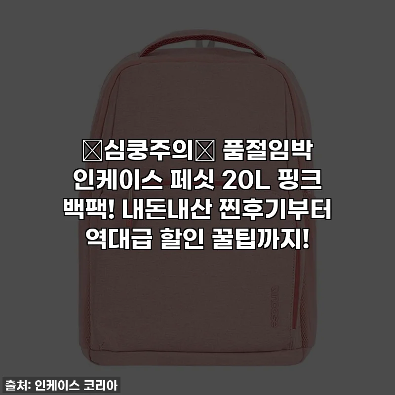 💖심쿵주의💖 품절임박 인케이스 페싯 20L 핑크 백팩! 내돈내산 찐후기부터 역대급 할인 꿀팁까지!