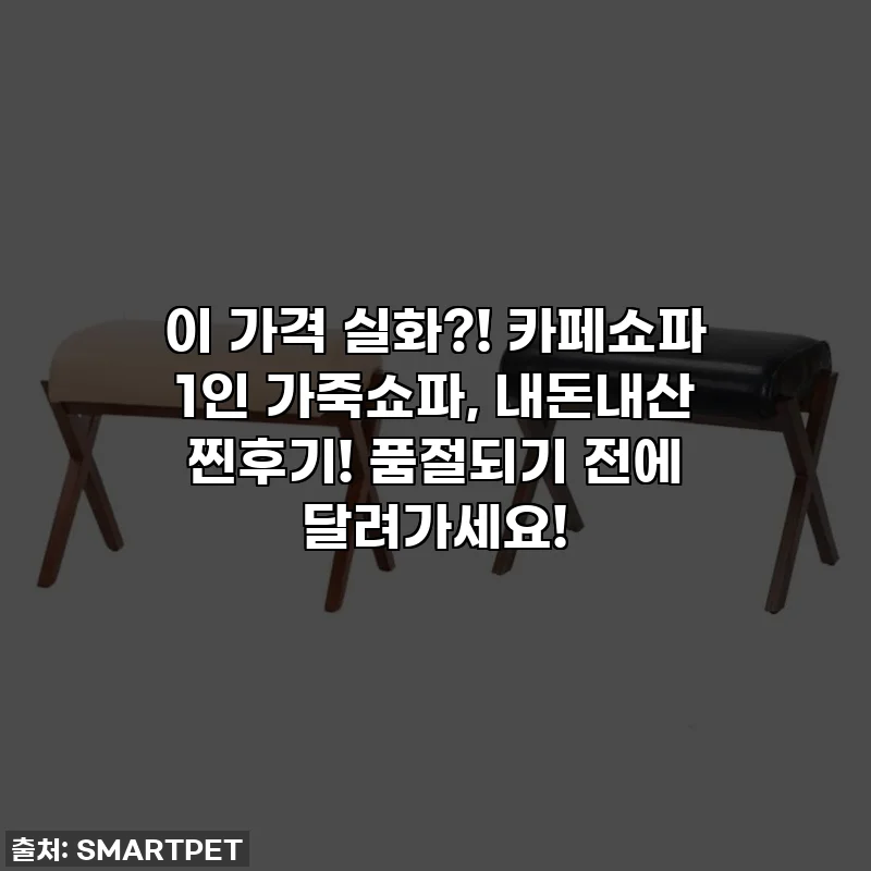 이 가격 실화?! 카페쇼파 1인 가죽쇼파, 내돈내산 찐후기! 품절되기 전에 달려가세요!