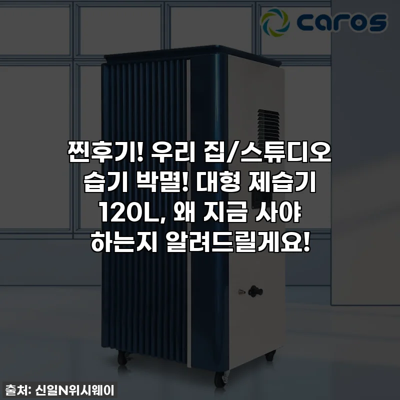 찐후기! 우리 집/스튜디오 습기 박멸! 대형 제습기 120L, 왜 지금 사야 하는지 알려드릴게요!