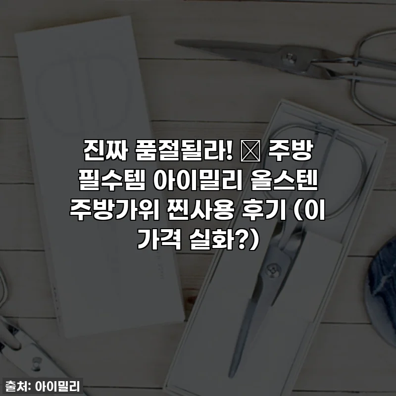 진짜 품절될라! 🔥 주방 필수템 아이밀리 올스텐 주방가위 찐사용 후기 (이 가격 실화?)