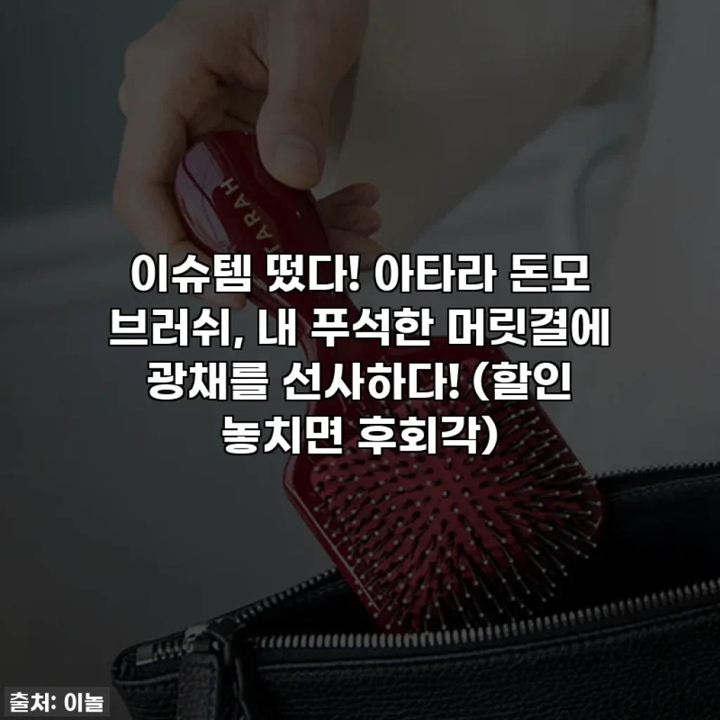 이슈템 떴다! 아타라 돈모 브러쉬, 내 푸석한 머릿결에 광채를 선사하다! (할인 놓치면 후회각)