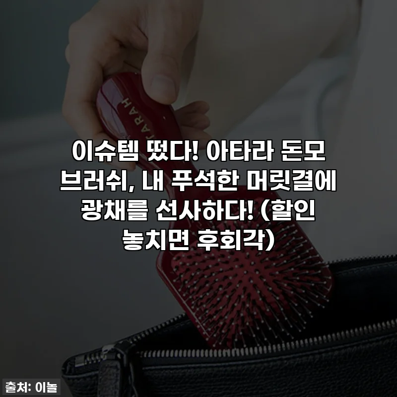 이슈템 떴다! 아타라 돈모 브러쉬, 내 푸석한 머릿결에 광채를 선사하다! (할인 놓치면 후회각)