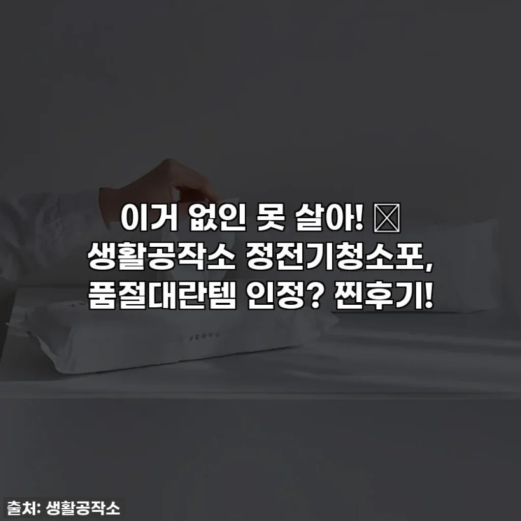 이거 없인 못 살아! ✨ 생활공작소 정전기청소포, 품절대란템 인정? 찐후기!