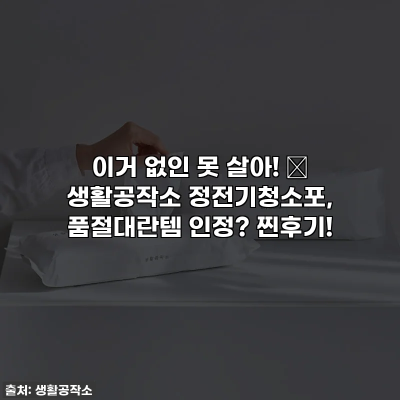 이거 없인 못 살아! ✨ 생활공작소 정전기청소포, 품절대란템 인정? 찐후기!
