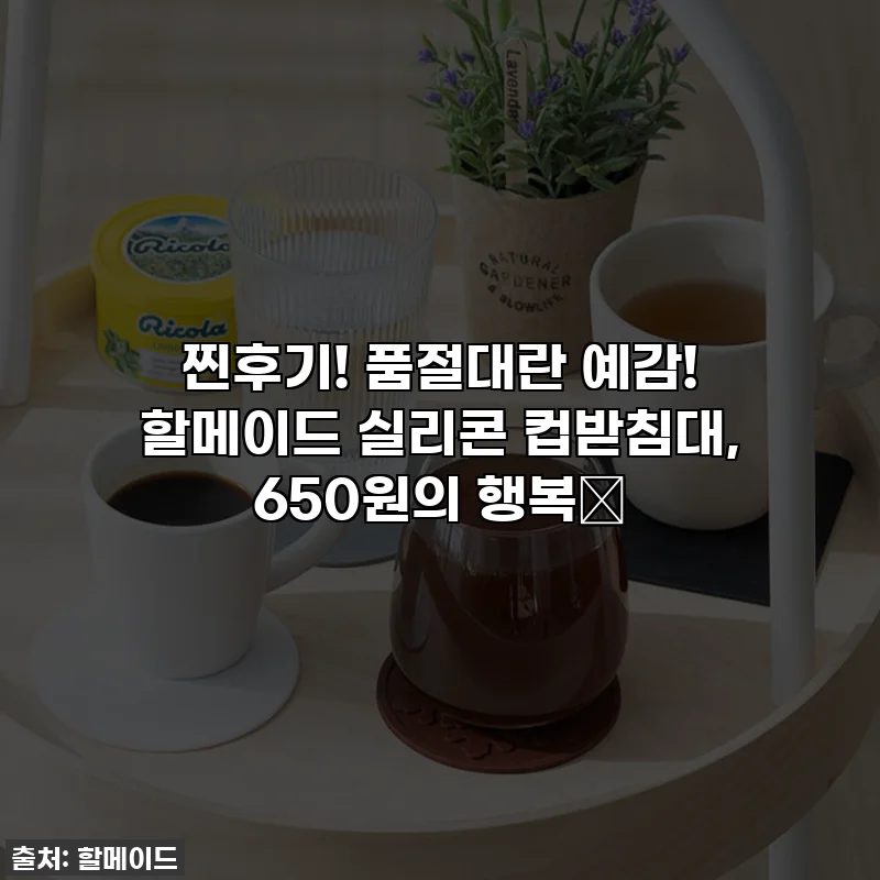 찐후기! 품절대란 예감! 할메이드 실리콘 컵받침대, 650원의 행복🤍