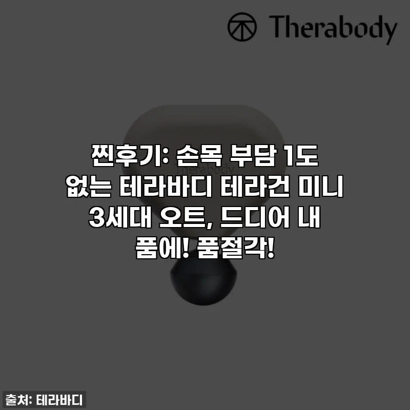 찐후기: 손목 부담 1도 없는 테라바디 테라건 미니 3세대 오트, 드디어 내 품에! 품절각!