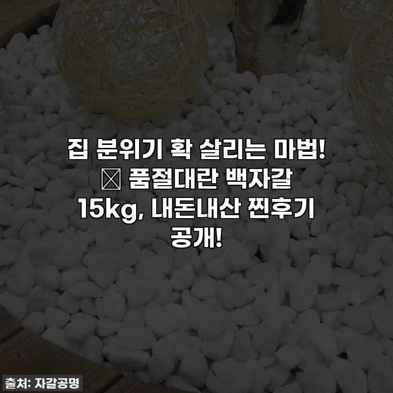 집 분위기 확 살리는 마법! ✨ 품절대란 백자갈 15kg, 내돈내산 찐후기 공개!