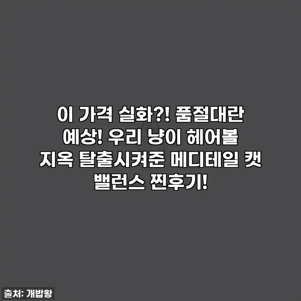 이 가격 실화?! 품절대란 예상! 우리 냥이 헤어볼 지옥 탈출시켜준 메디테일 캣 밸런스 찐후기!