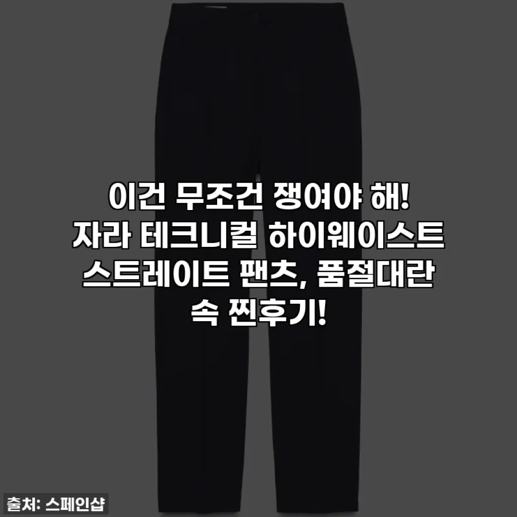 이건 무조건 쟁여야 해! 자라 테크니컬 하이웨이스트 스트레이트 팬츠, 품절대란 속 찐후기!