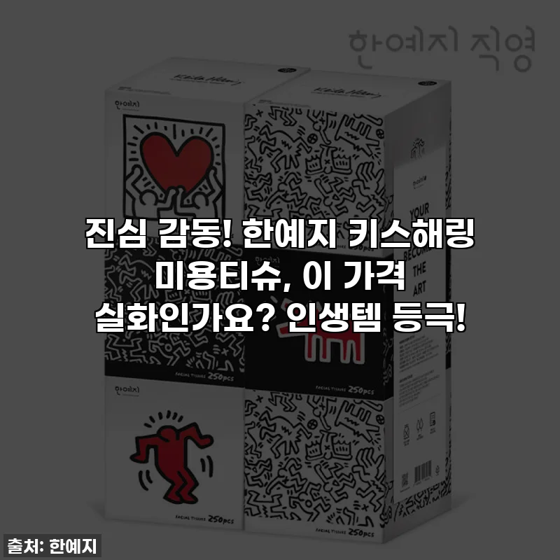 진심 감동! 한예지 키스해링 미용티슈, 이 가격 실화인가요? 인생템 등극!