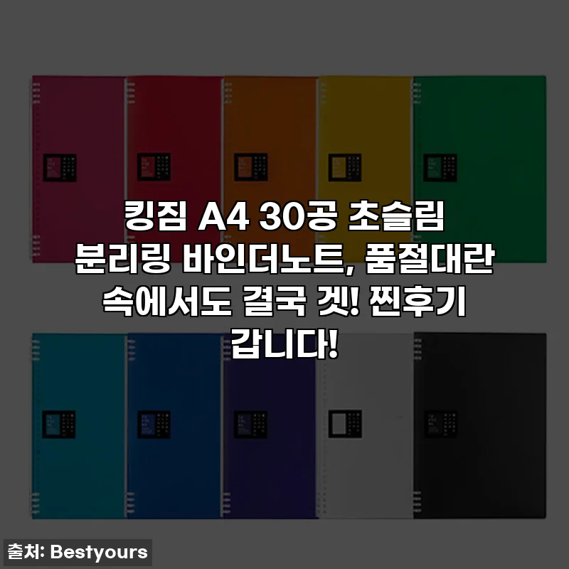 킹짐 A4 30공 초슬림 분리링 바인더노트, 품절대란 속에서도 결국 겟! 찐후기 갑니다!
