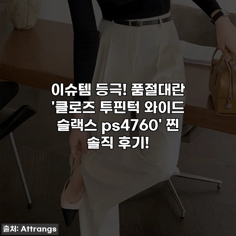 이슈템 등극! 품절대란 '클로즈 투핀턱 와이드 슬랙스 ps4760' 찐 솔직 후기!