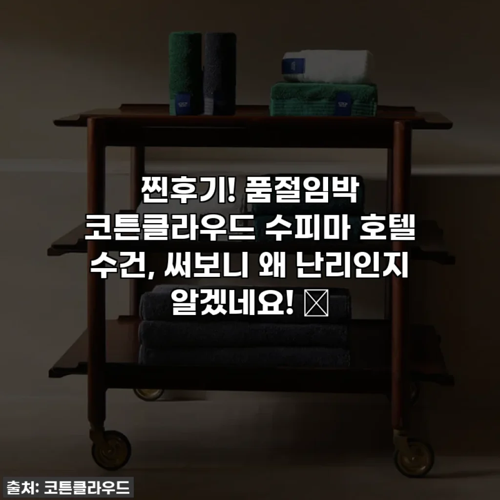 찐후기! 품절임박 코튼클라우드 수피마 호텔 수건, 써보니 왜 난리인지 알겠네요! ✨