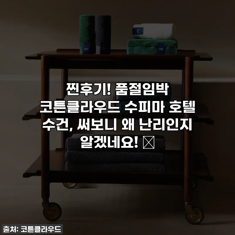 찐후기! 품절임박 코튼클라우드 수피마 호텔 수건, 써보니 왜 난리인지 알겠네요! ✨