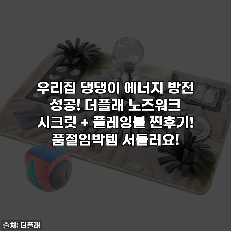 우리집 댕댕이 에너지 방전 성공! 더플래 노즈워크 시크릿 + 플레잉볼 찐후기! 품절임박템 서둘러요!