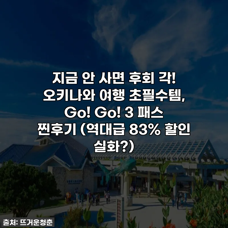 지금 안 사면 후회 각! 오키나와 여행 초필수템, Go! Go! 3 패스 찐후기 (역대급 83% 할인 실화?)