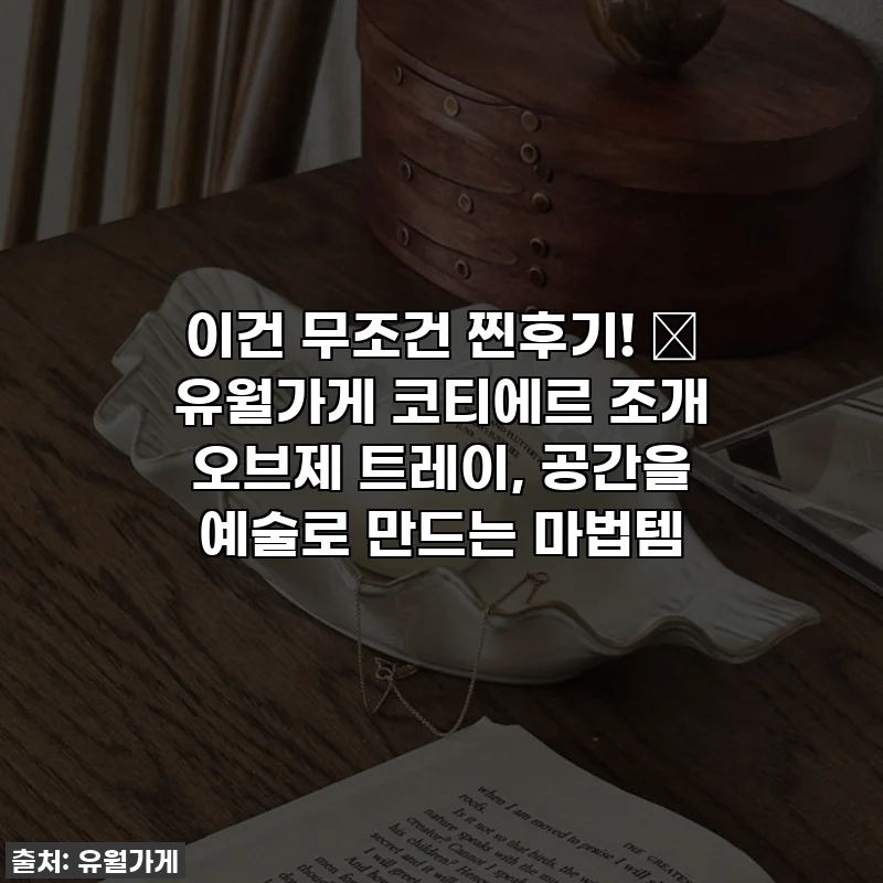 이건 무조건 찐후기! ✨ 유월가게 코티에르 조개 오브제 트레이, 공간을 예술로 만드는 마법템