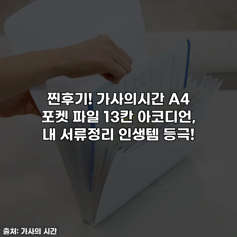 찐후기! 가사의시간 A4 포켓 파일 13칸 아코디언, 내 서류정리 인생템 등극!