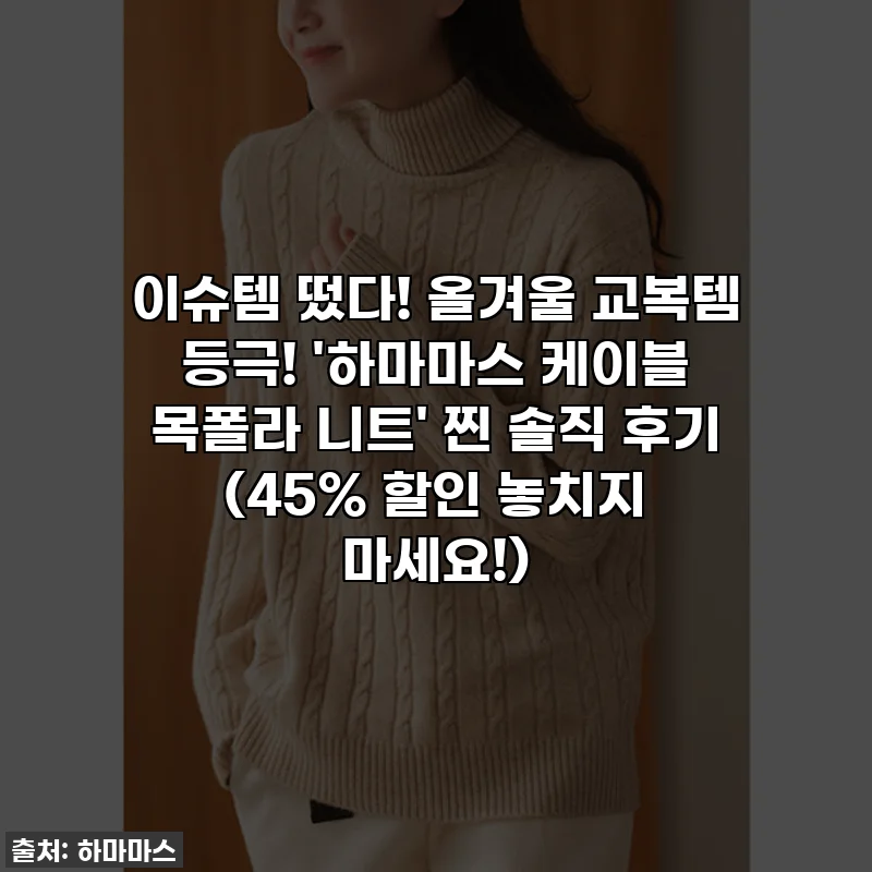 이슈템 떴다! 올겨울 교복템 등극! '하마마스 케이블 목폴라 니트' 찐 솔직 후기 (45% 할인 놓치지 마세요!)
