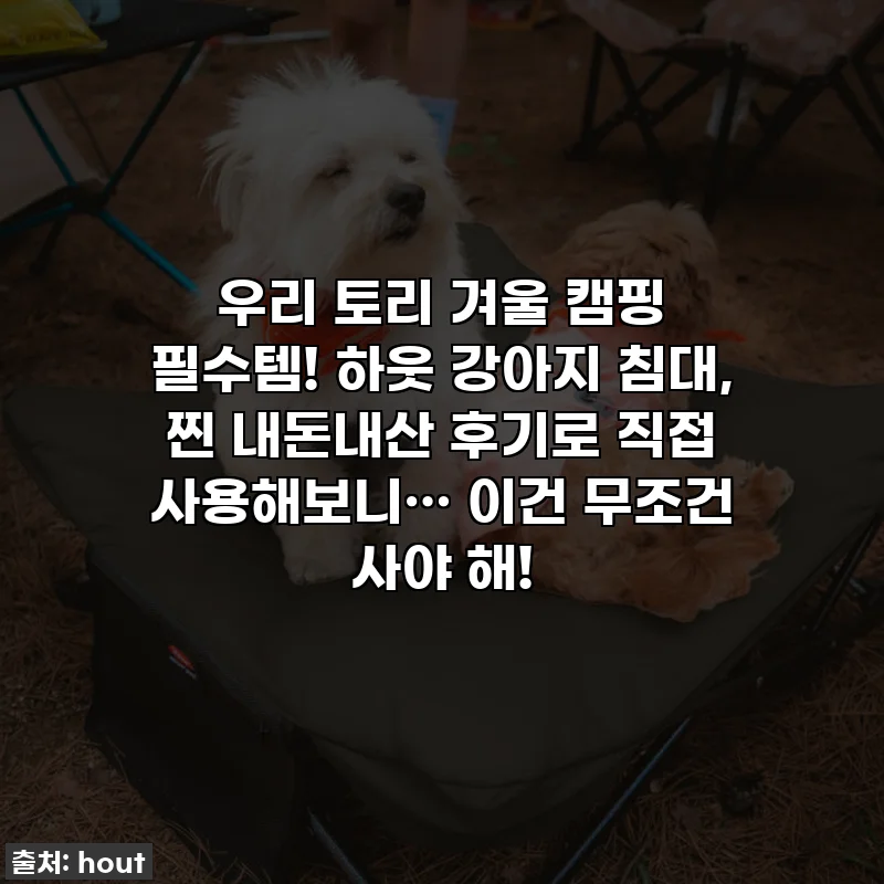 우리 토리 겨울 캠핑 필수템! 하웃 강아지 침대, 찐 내돈내산 후기로 직접 사용해보니… 이건 무조건 사야 해!