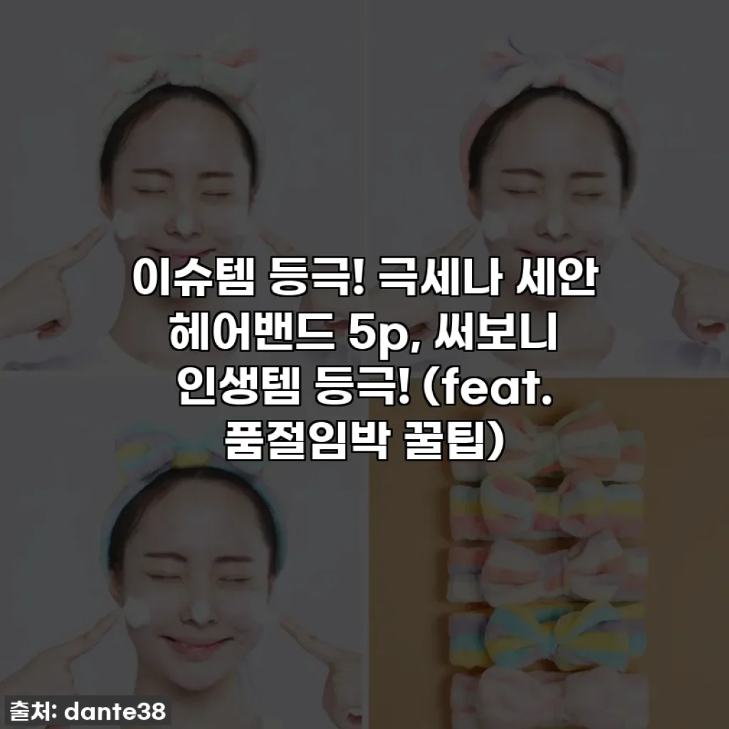 이슈템 등극! 극세나 세안 헤어밴드 5p, 써보니 인생템 등극! (feat. 품절임박 꿀팁)