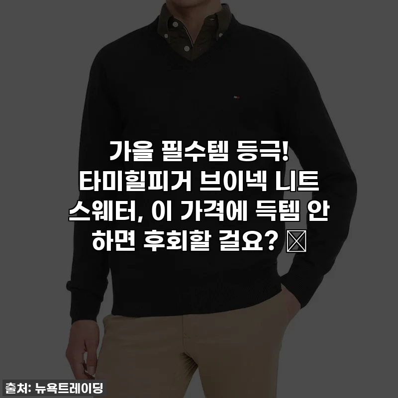 가을 필수템 등극! 타미힐피거 브이넥 니트 스웨터, 이 가격에 득템 안 하면 후회할 걸요? ✨