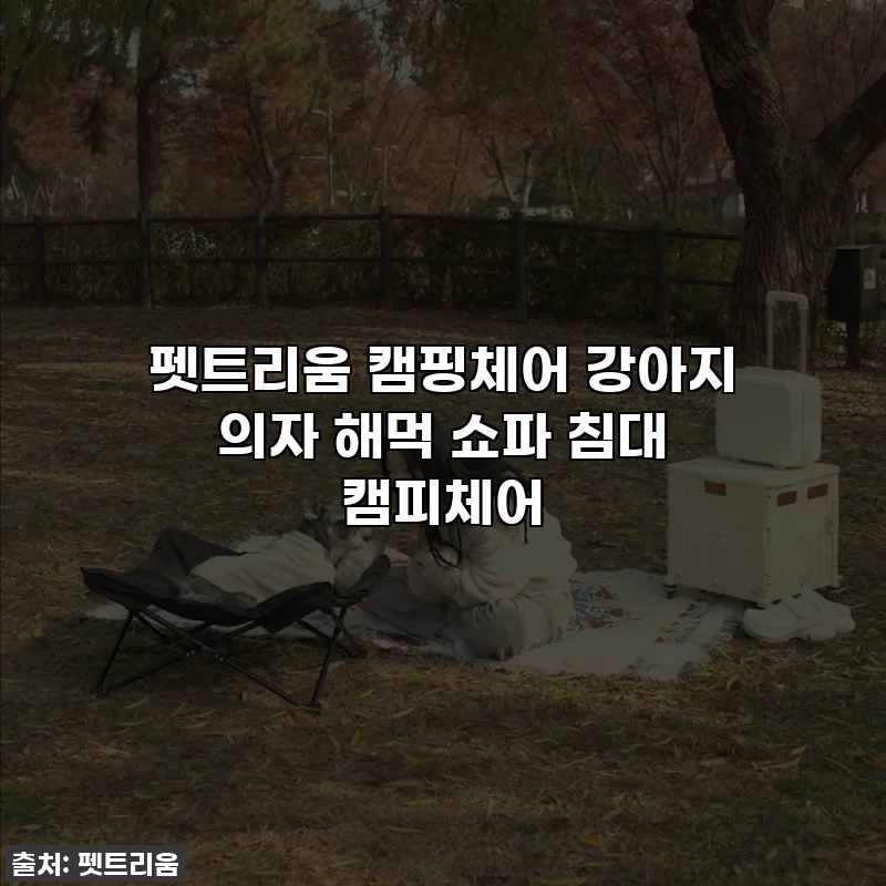 펫트리움 캠핑체어 강아지 의자 해먹 쇼파 침대 캠피체어
