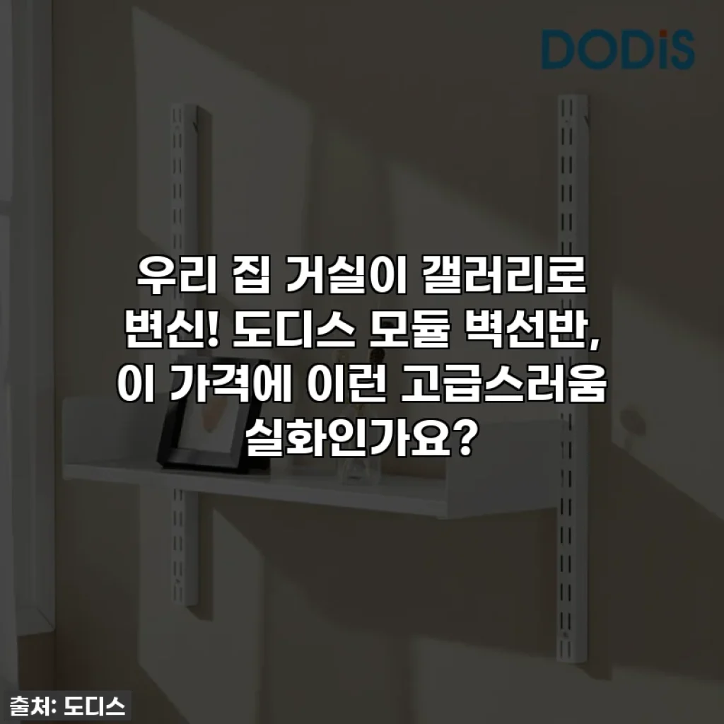 우리 집 거실이 갤러리로 변신! 도디스 모듈 벽선반, 이 가격에 이런 고급스러움 실화인가요?