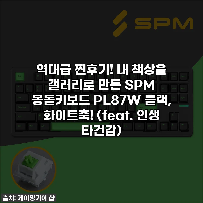 역대급 찐후기! 내 책상을 갤러리로 만든 SPM 몽돌키보드 PL87W 블랙, 화이트축! (feat. 인생 타건감)
